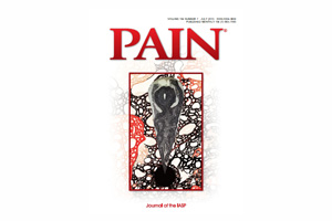 ڻѹ溴 ȭ 丮  ̹ / 1. 2013 MSAT ȿ   PAIN Ǿ   ޼ 뿡 ħ ġ ȿ ߴ.